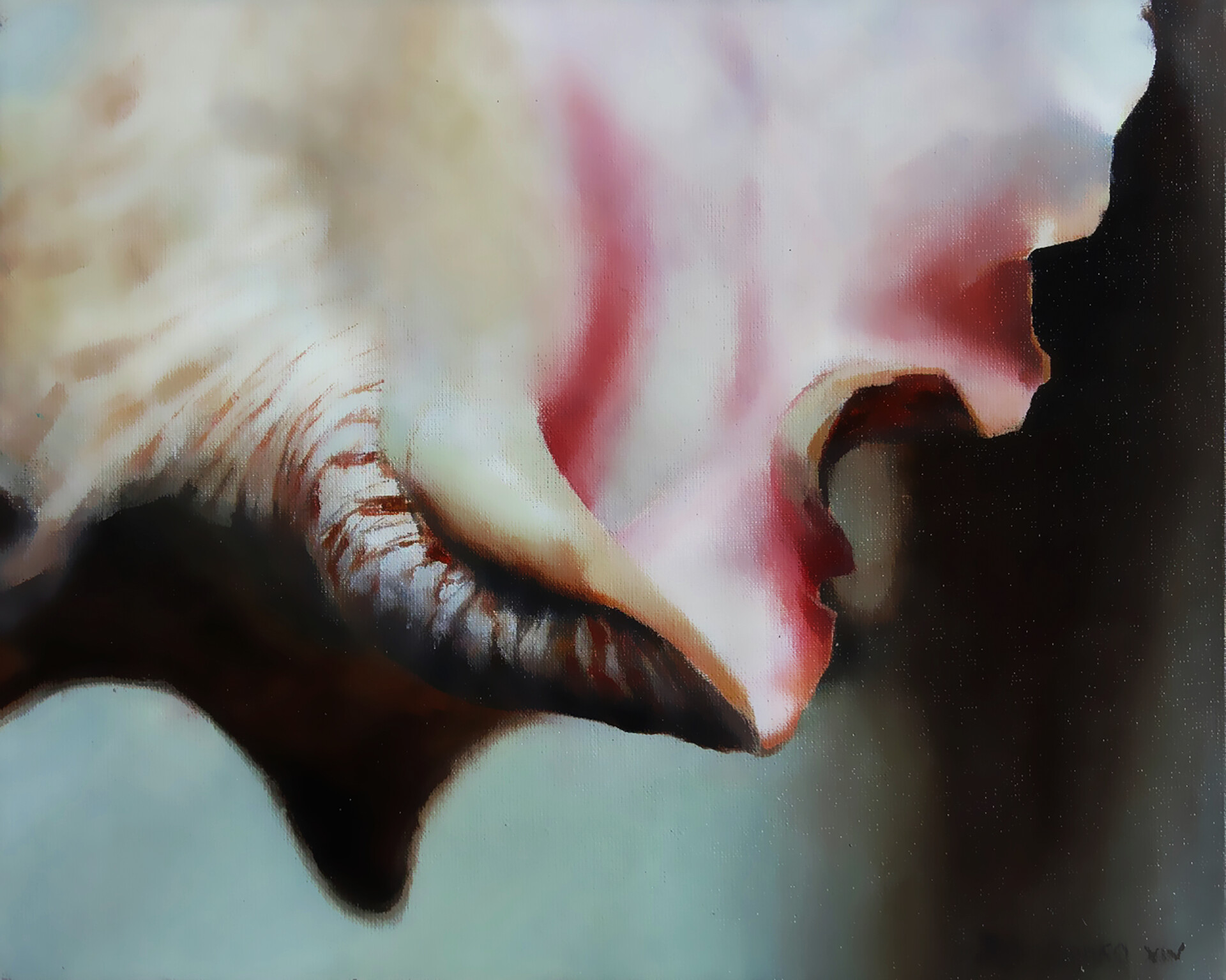 Detail 6